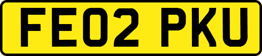 FE02PKU