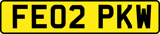 FE02PKW