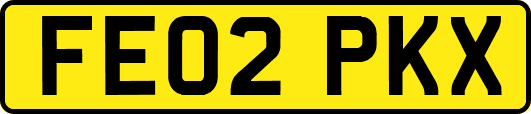 FE02PKX