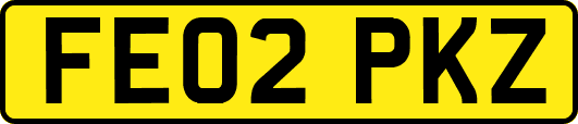 FE02PKZ