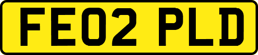 FE02PLD