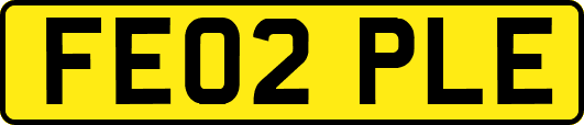 FE02PLE