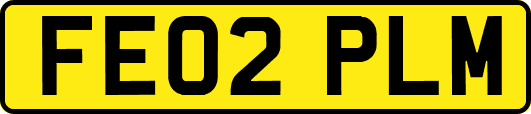 FE02PLM