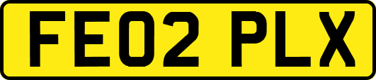 FE02PLX