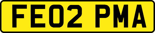FE02PMA