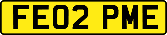 FE02PME