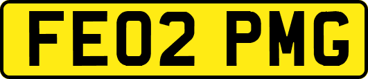 FE02PMG