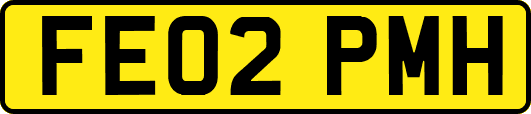 FE02PMH