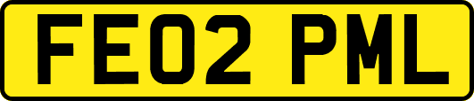 FE02PML