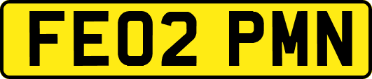 FE02PMN