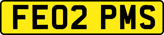 FE02PMS