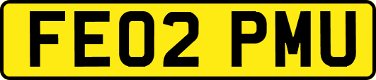 FE02PMU