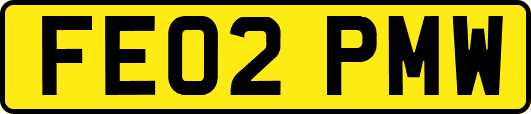 FE02PMW