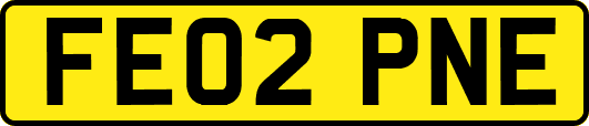 FE02PNE