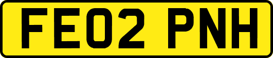 FE02PNH