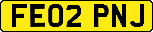FE02PNJ