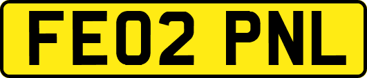 FE02PNL