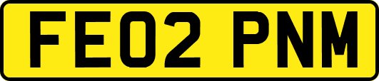 FE02PNM