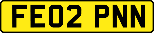 FE02PNN