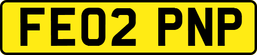 FE02PNP