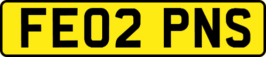 FE02PNS