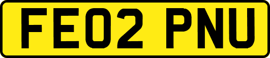 FE02PNU