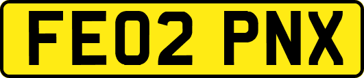 FE02PNX