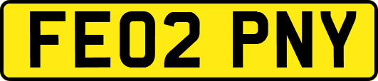 FE02PNY