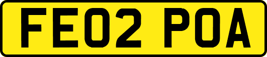 FE02POA