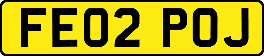 FE02POJ