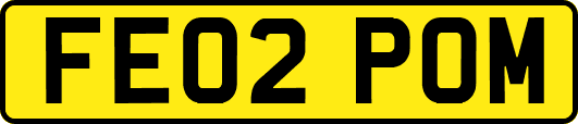 FE02POM