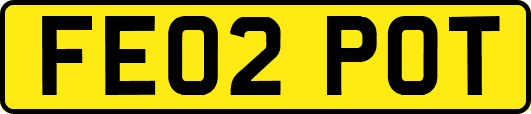 FE02POT