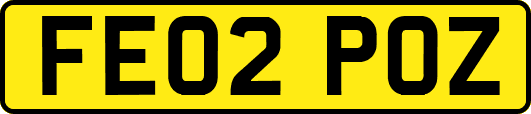 FE02POZ
