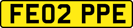 FE02PPE