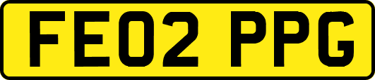 FE02PPG