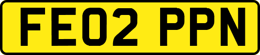 FE02PPN