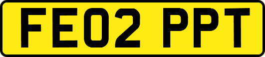 FE02PPT
