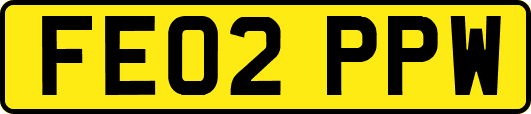 FE02PPW