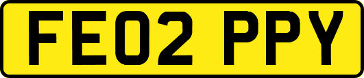 FE02PPY