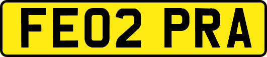 FE02PRA