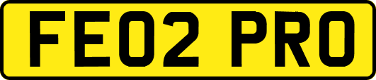 FE02PRO