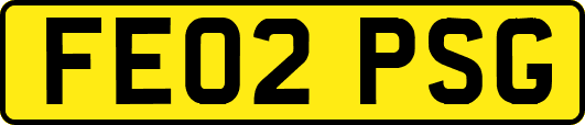 FE02PSG