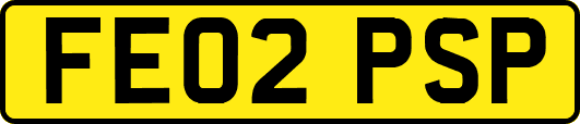 FE02PSP