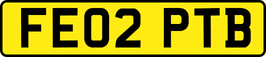 FE02PTB