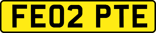 FE02PTE