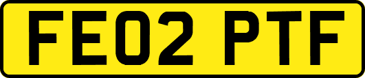 FE02PTF