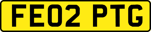 FE02PTG