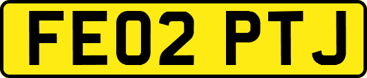 FE02PTJ