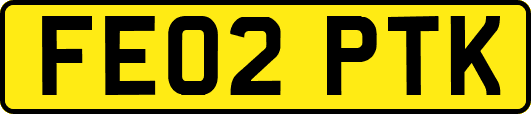 FE02PTK