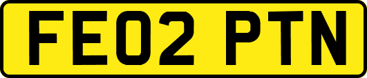 FE02PTN